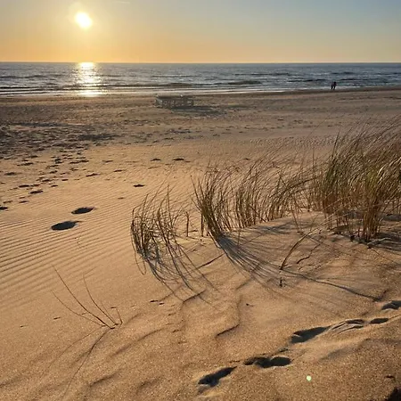 - Luxury And * Palanga