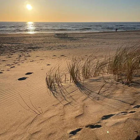 - Luxury And * Palanga