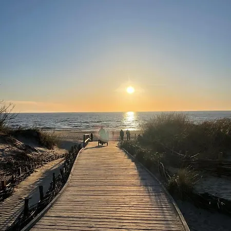 - Luxury And Palanga