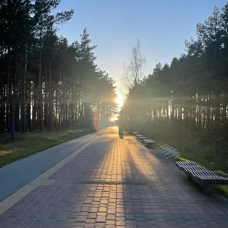 - Luxury And Palanga