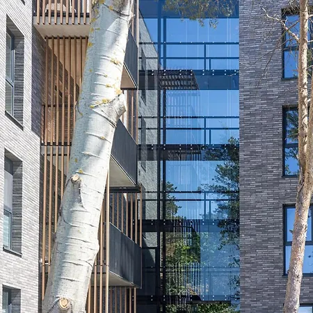 - Luxury And Palanga